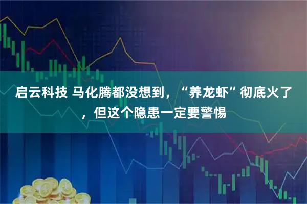 启云科技 马化腾都没想到，“养龙虾”彻底火了，但这个隐患一定要警惕