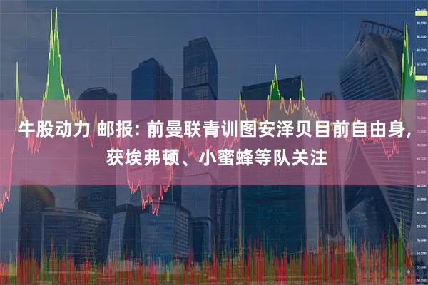牛股动力 邮报: 前曼联青训图安泽贝目前自由身, 获埃弗顿、小蜜蜂等队关注